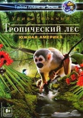 Тайны планеты Земля  Удивительный тропический лес  Южная Америка