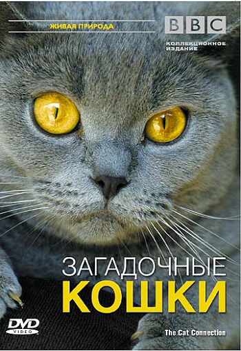 BBC: Загадочные кошки / The Cat Connection (2002)