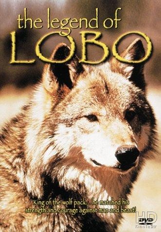 Легенда о Лобо / The Legend of Lobo 1962