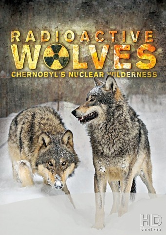 Радиоактивные волки Чернобыля / Radioactive Wolves
