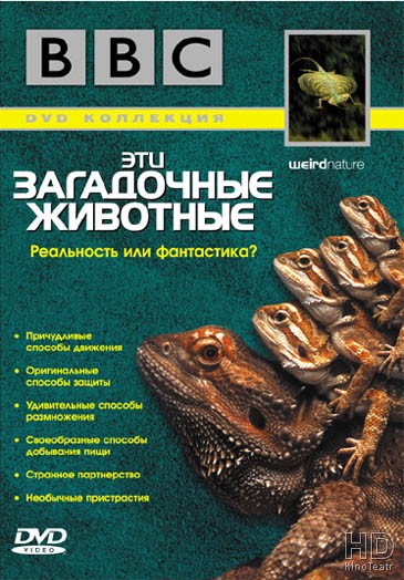 BBC: Эти загадочные животные / BBC: Weird Nature